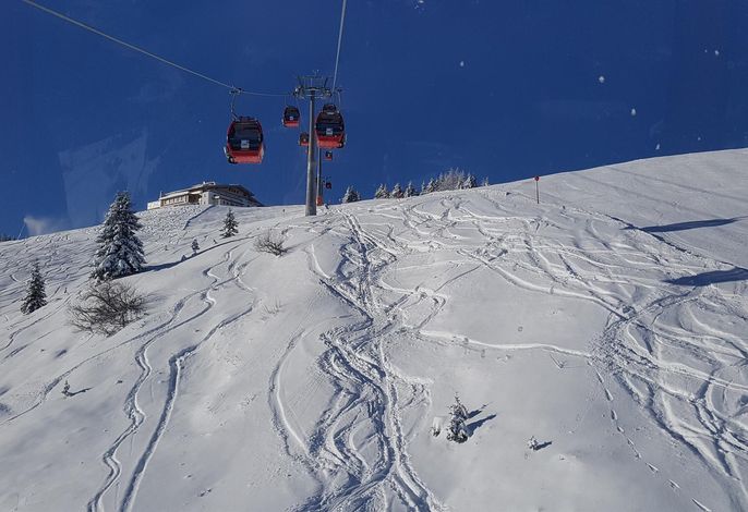 Bild 91