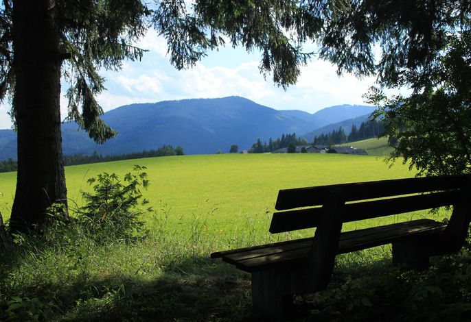 Bild 13