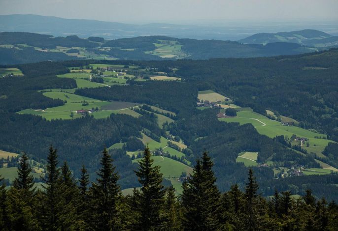 Bild 14