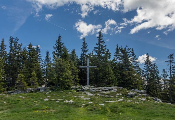 Bild 18
