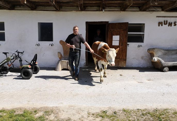 Bild 8