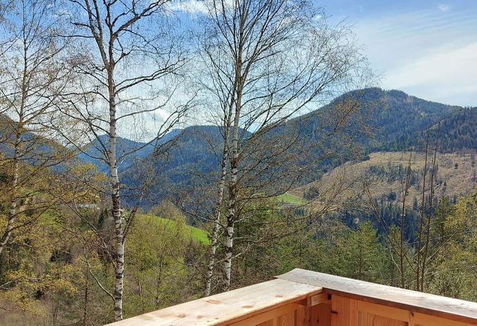 Bild 17