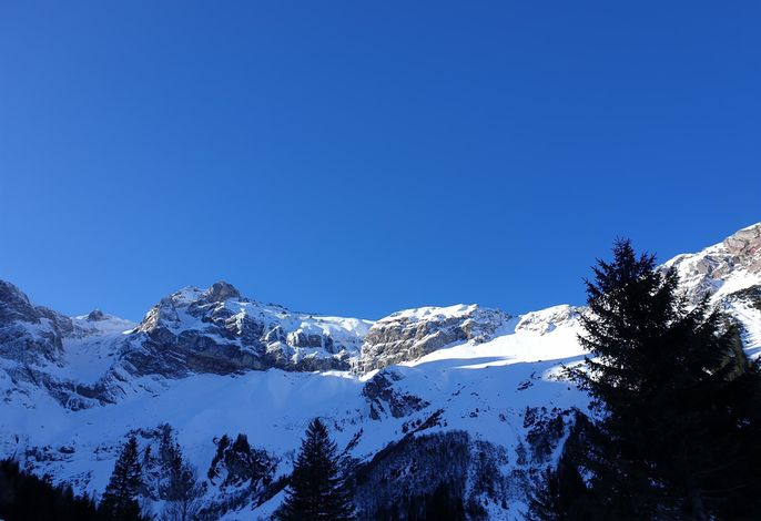 Bild 44