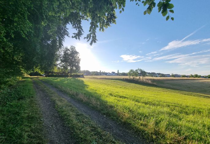 Bild 19