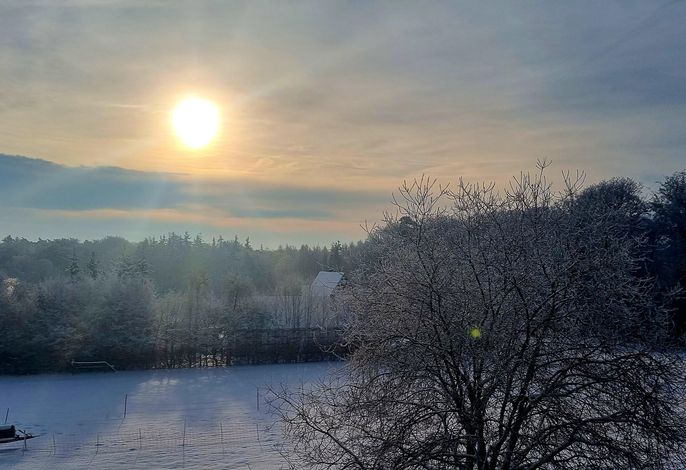 Bild 14