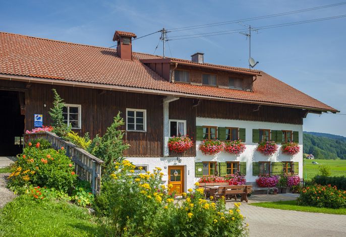 Schwalbennest