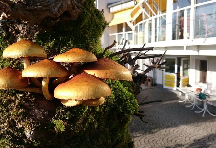 Bild 14