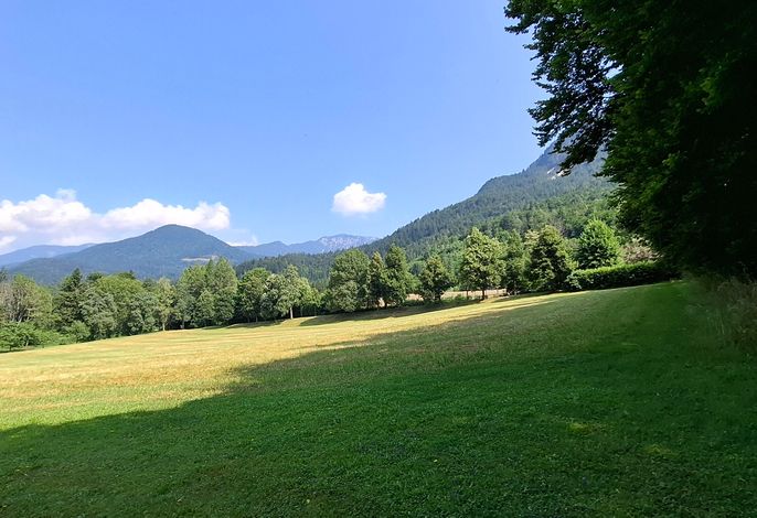 Bild 13