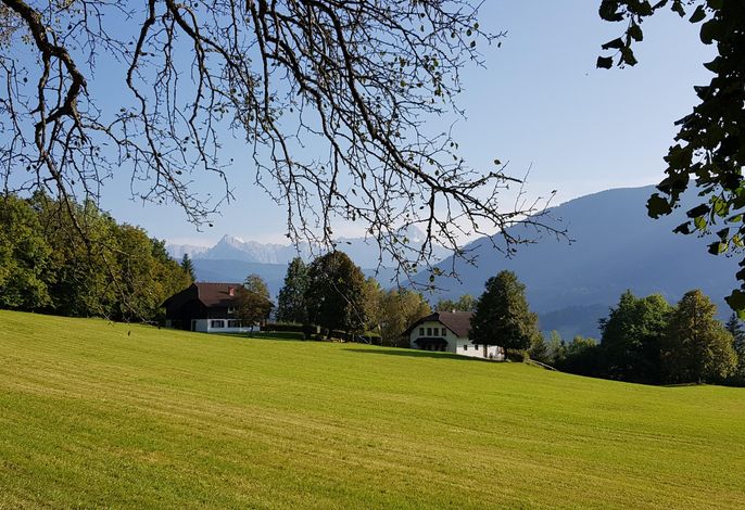 Bild 17