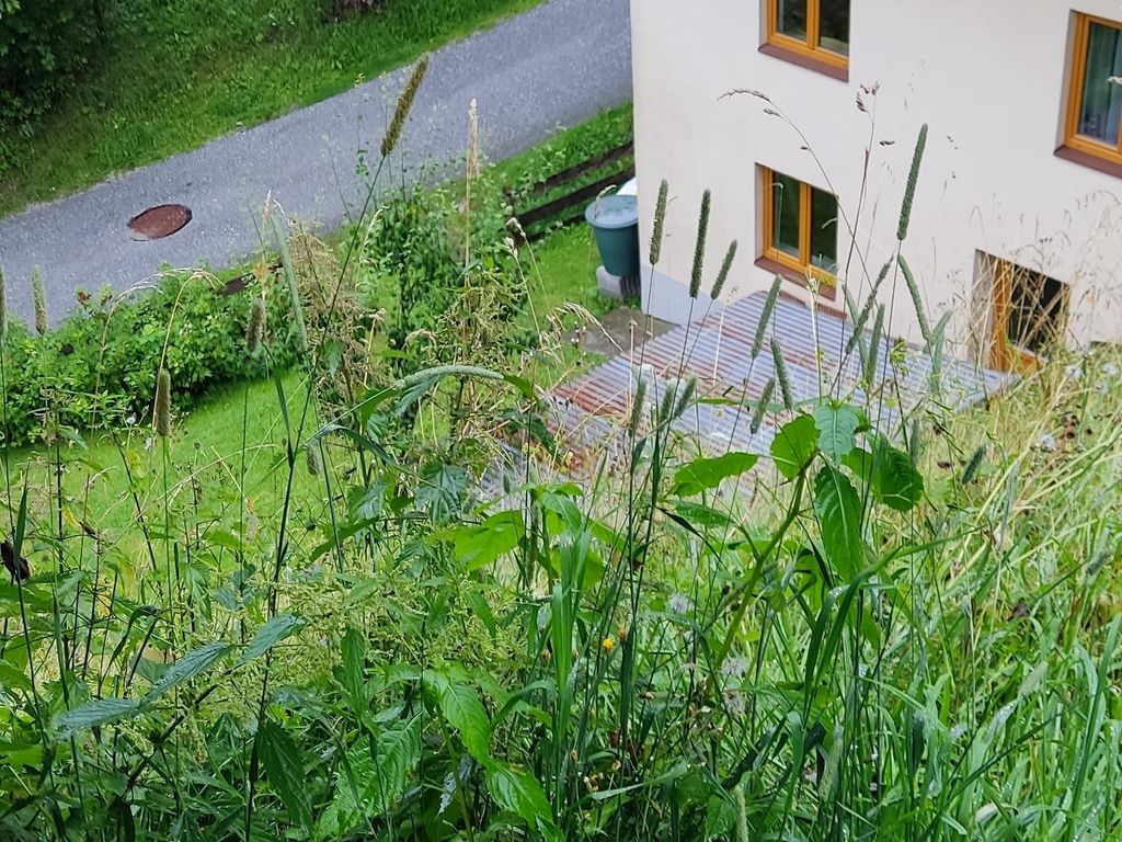 Hügelruh - THE HILL REST