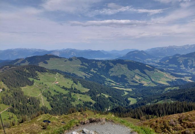 Bild 11