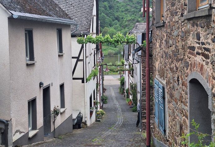 Bild 13