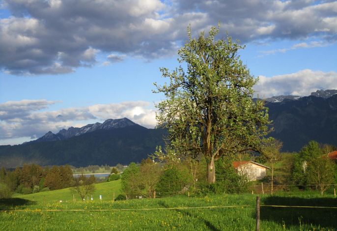 Bild 18