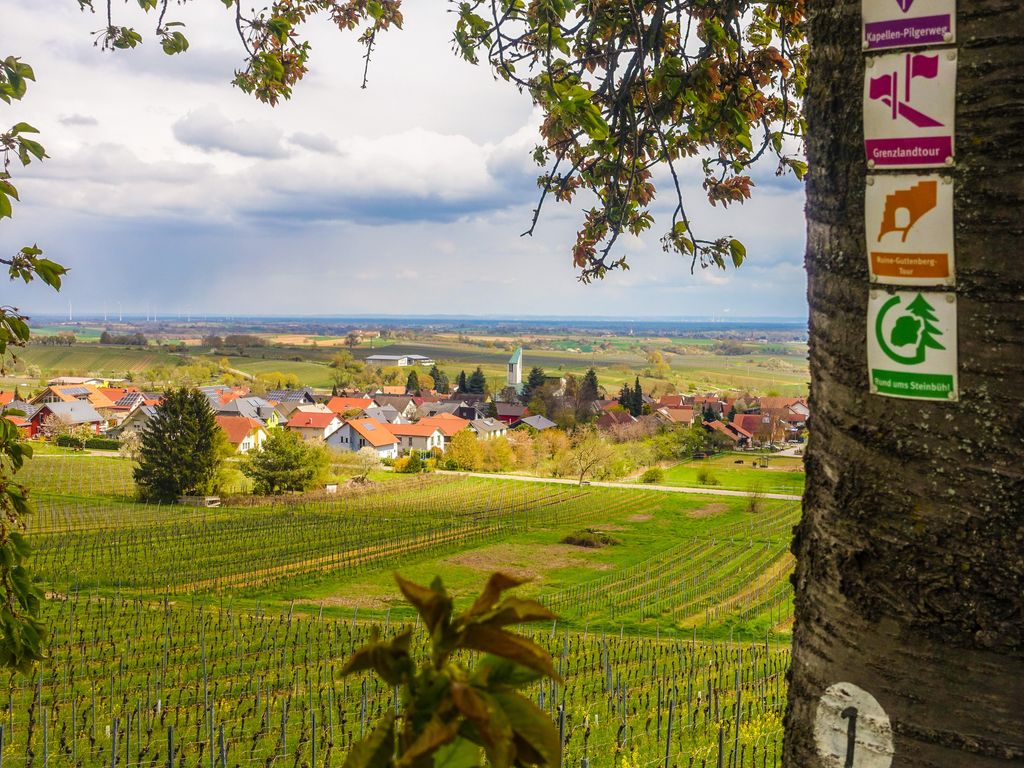 Amelie N°3 Schweigen-Rechtenbach