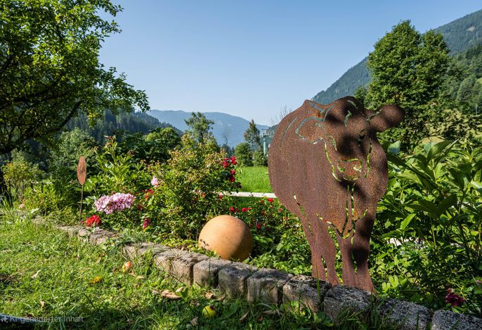 Bild 56