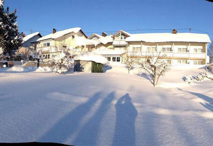 Bild 12