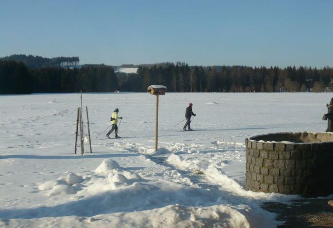 Bild 12
