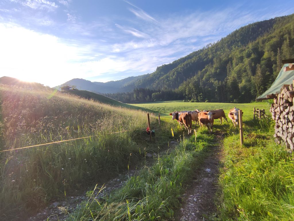 Eckarthof