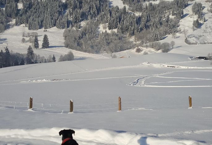 Bild 22