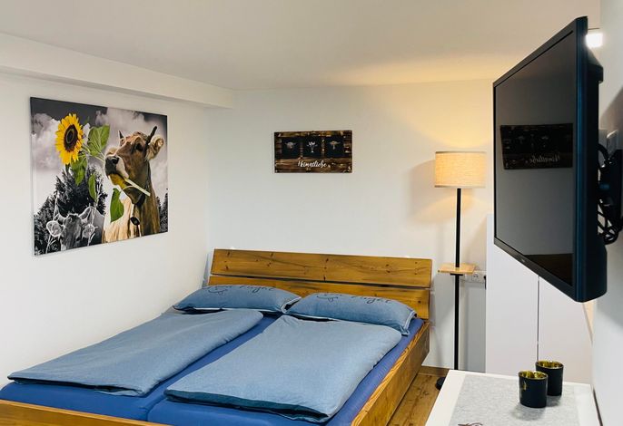 Appartement/Fewo, Dusche, WC, 1 Schlafraum