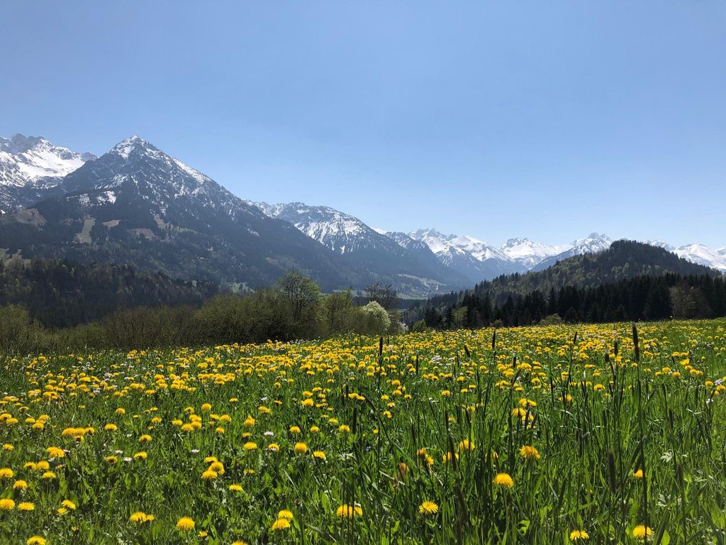 Bergland Ferienwohnungen