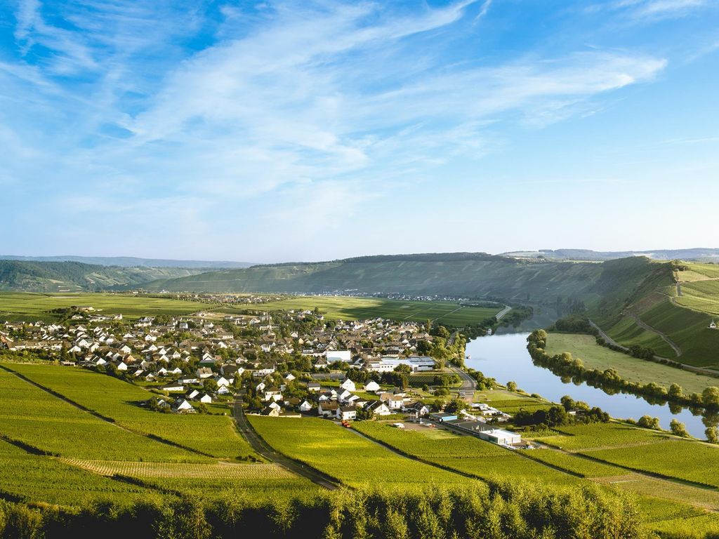 Ferienweingut Ulrike Thul