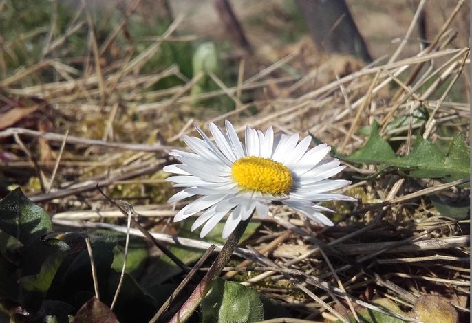 Bild 13