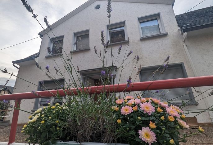 Ferienhaus, Dusche oder Bad, WC
