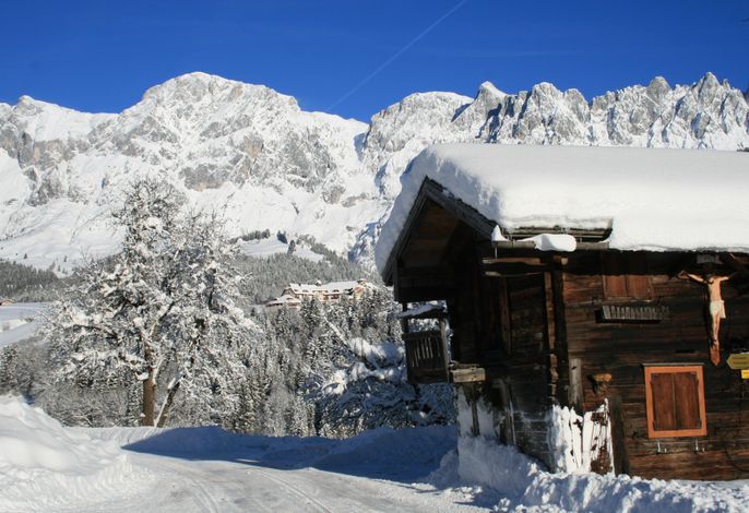 Bild 37