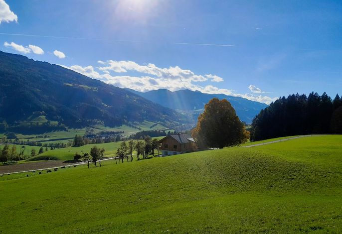 Bild 19