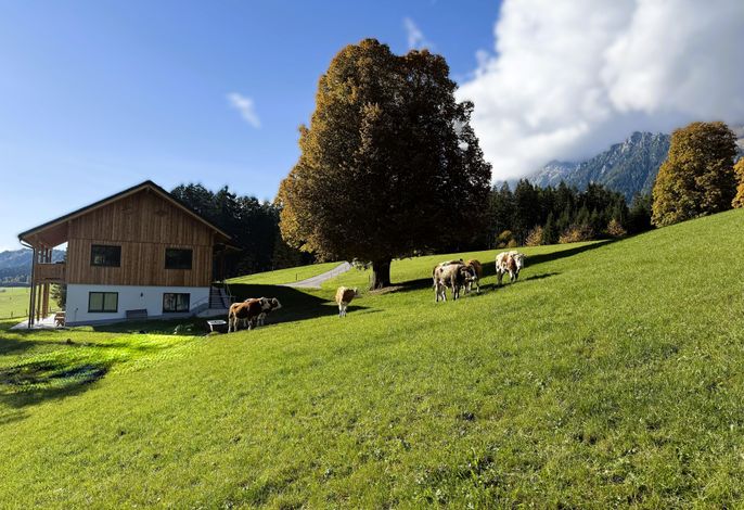 Bild 18