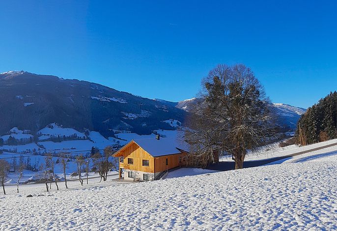 Bild 10