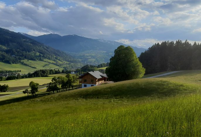 Bild 14