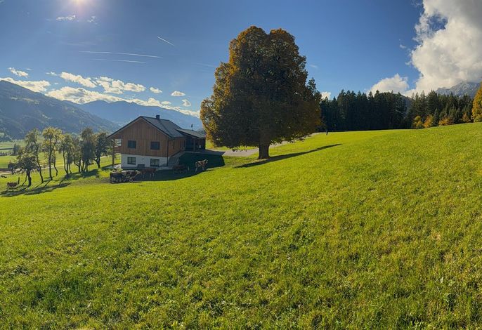 Bild 22
