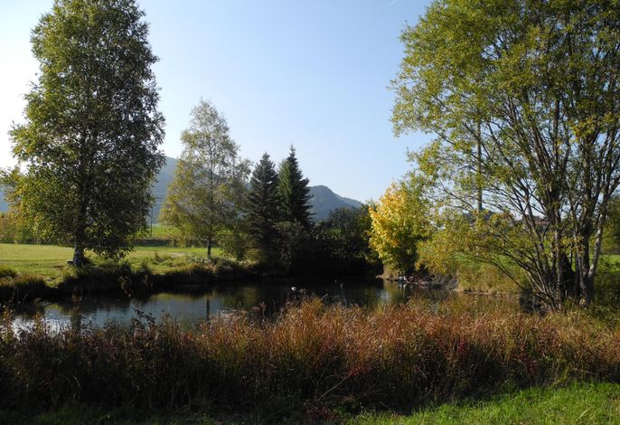 Bild 17