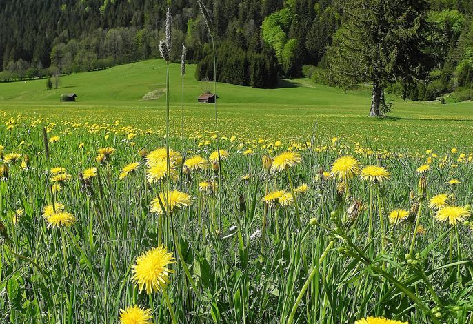 Bild 16