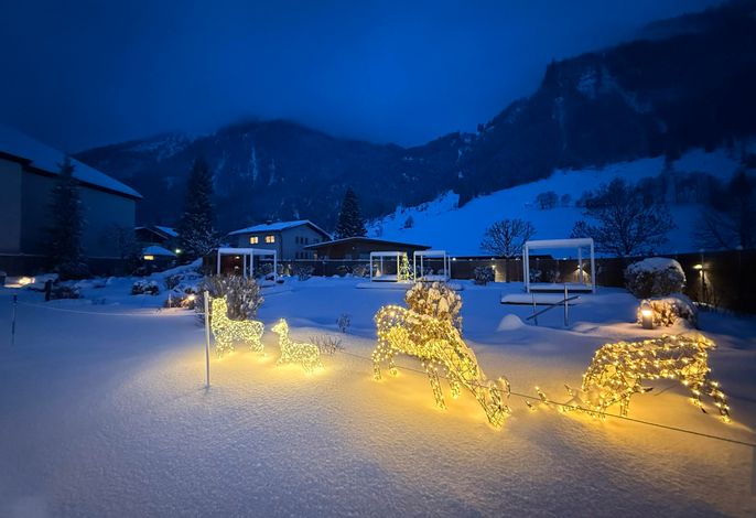 Bild 36