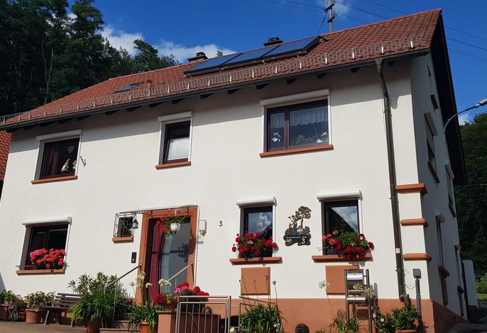 Fewo mit 2 Schlafzimmern