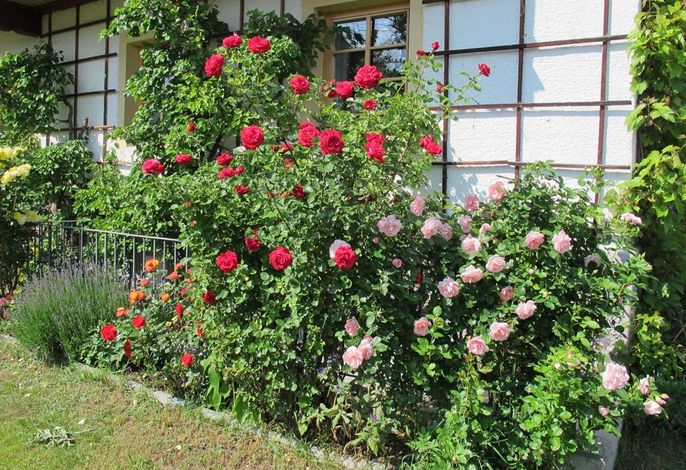 Bild 16