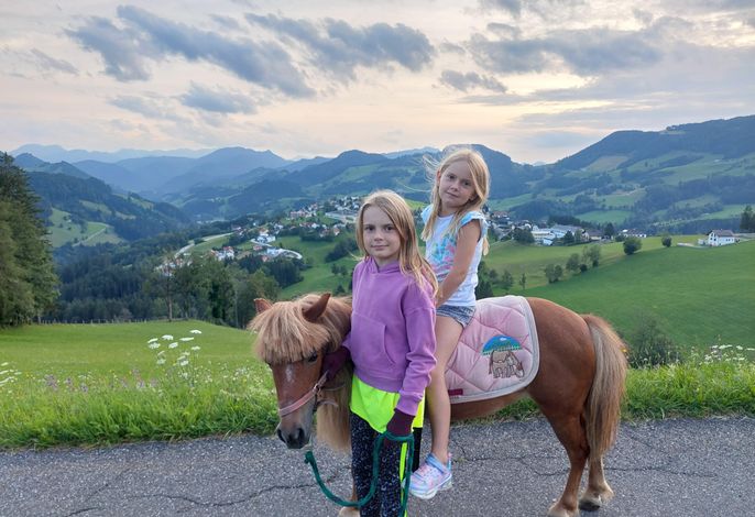 Bild 19