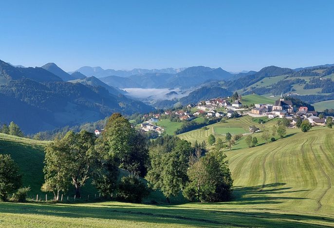 Bild 13