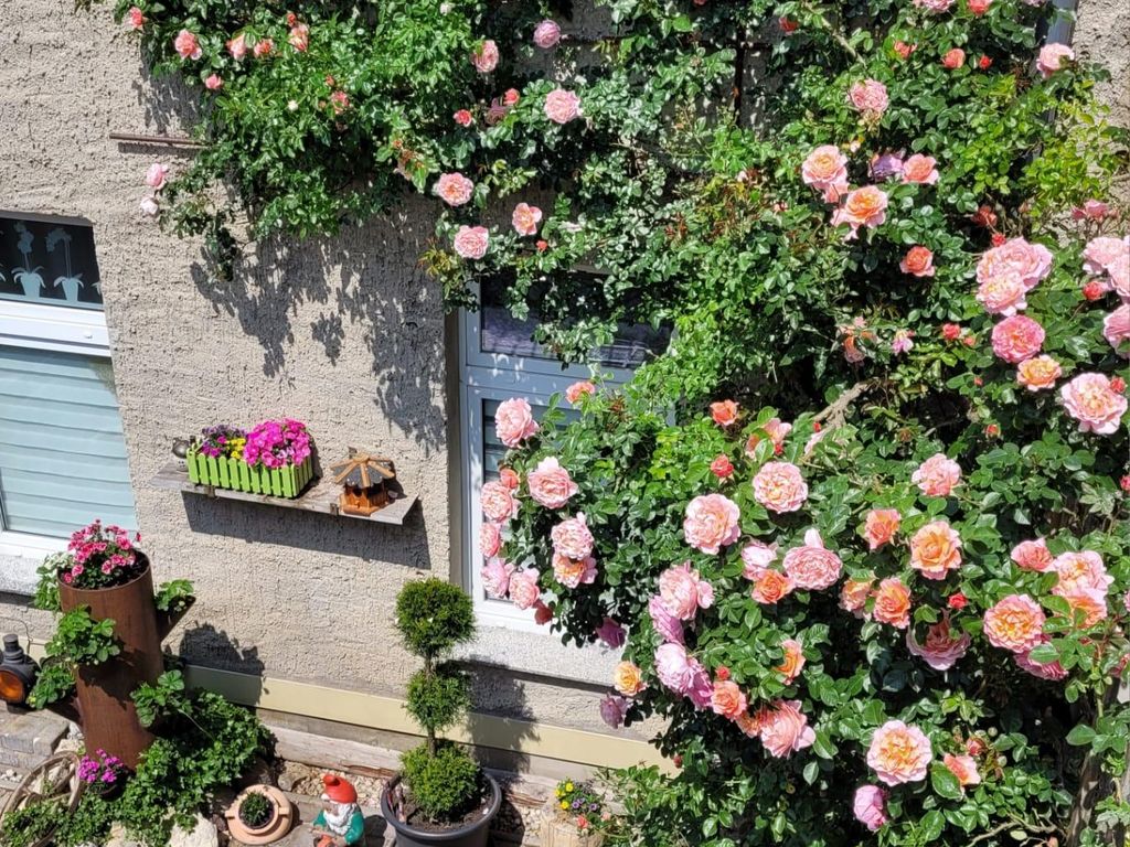 Ferienwohnung Domblick