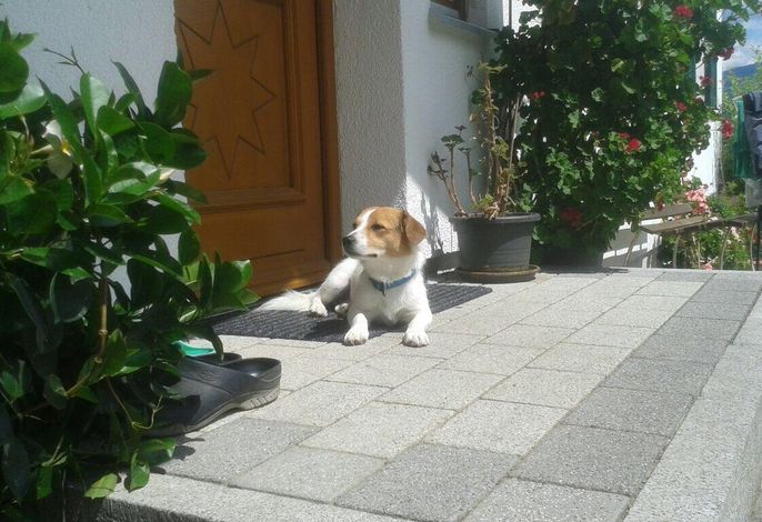 Bild 21