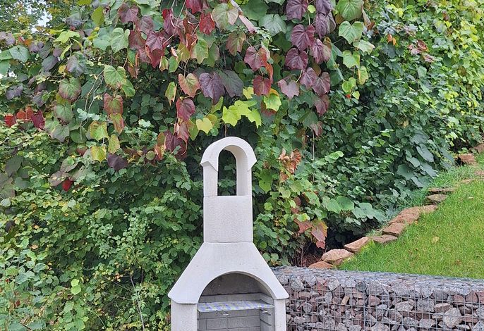 Bild 17