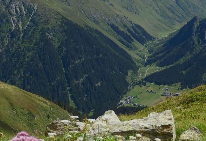 Bild 35
