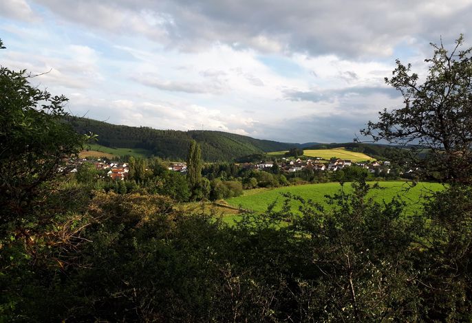 Bild 17