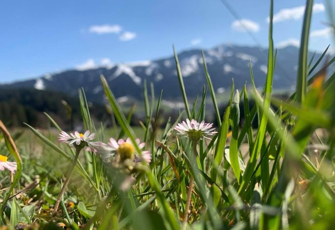 Bild 17