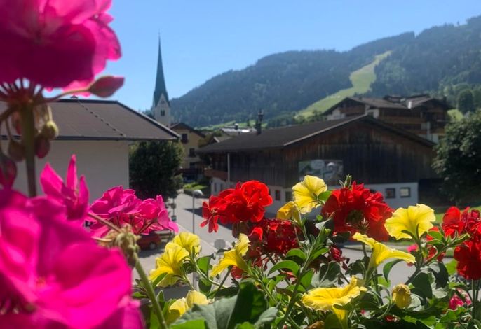 Bild 18