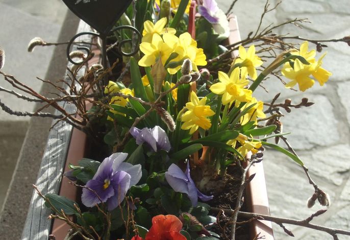 Bild 8
