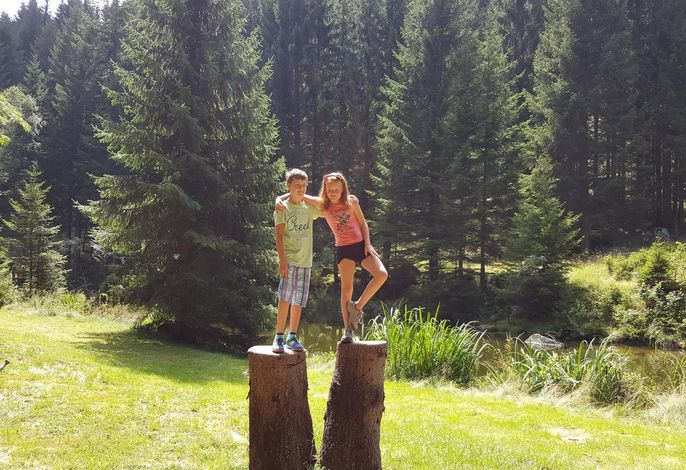 Bild 13